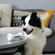 Pet Induction Interactive Toy GLR SHOPPING