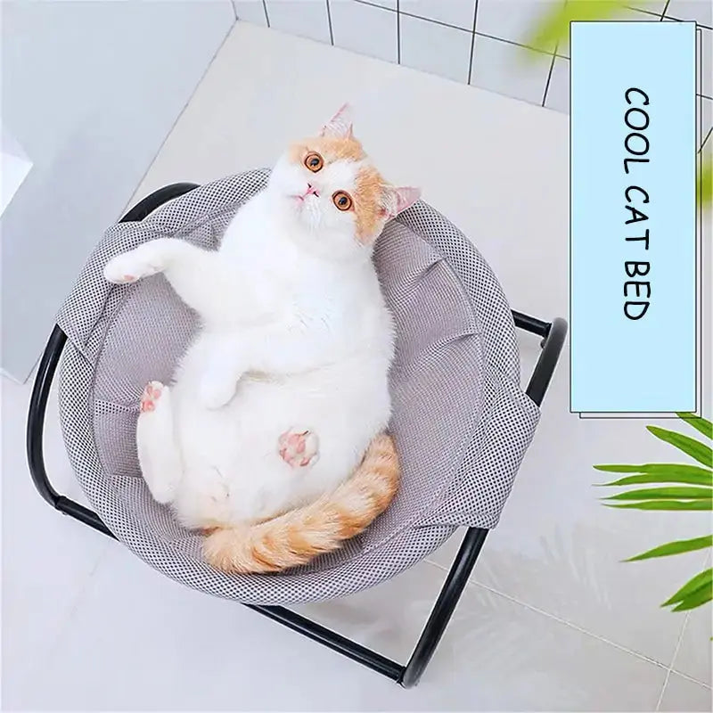 Iron Frame Pet Hammock GLR SHOPPING