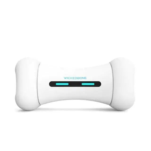 Pet Induction Interactive Toy GLR SHOPPING