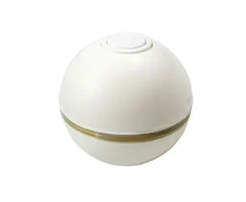 Pet Induction Interactive Toy GLR SHOPPING