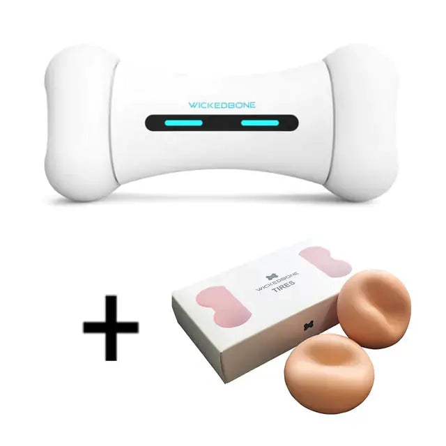 Pet Induction Interactive Toy GLR SHOPPING