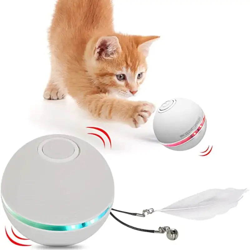 LED Colorful Cat Toy GLR SHOPPING