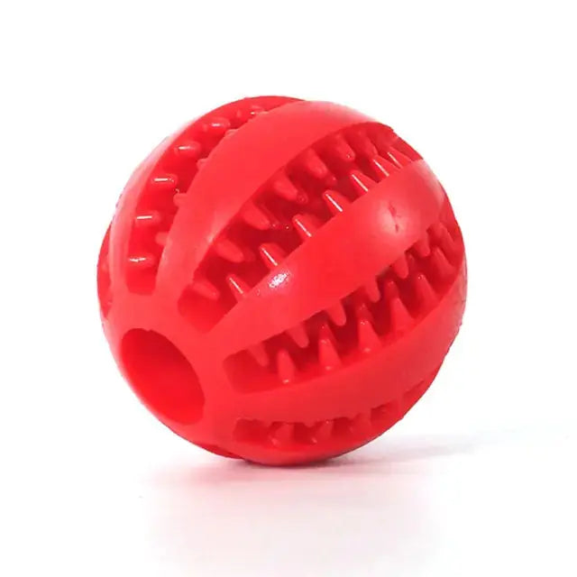 Watermelon Ball Dog Toy GLR SHOPPING