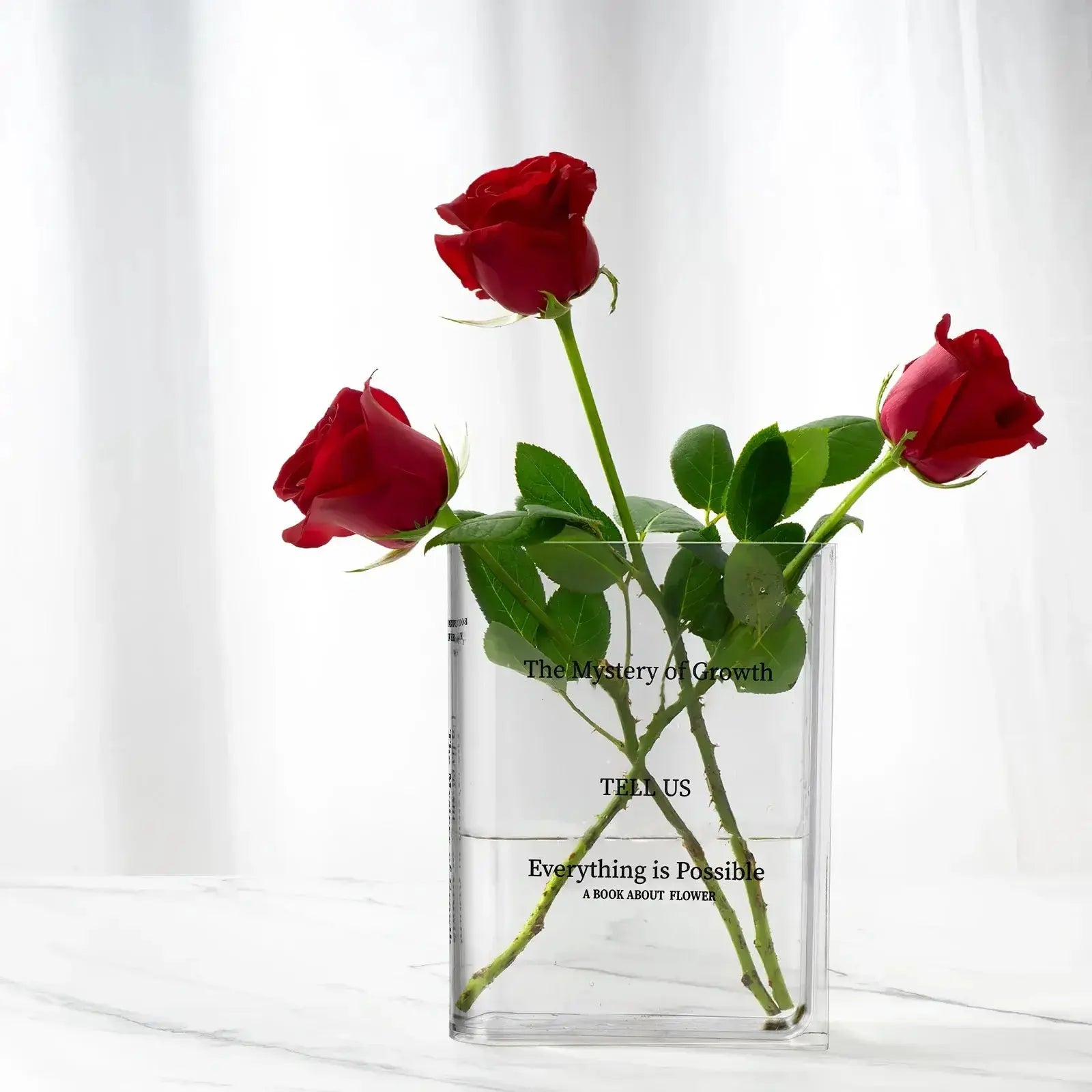 Transparent Book Vase GLR SHOPPING