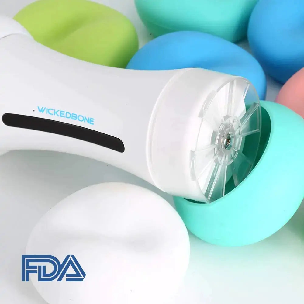 Pet Induction Interactive Toy GLR SHOPPING