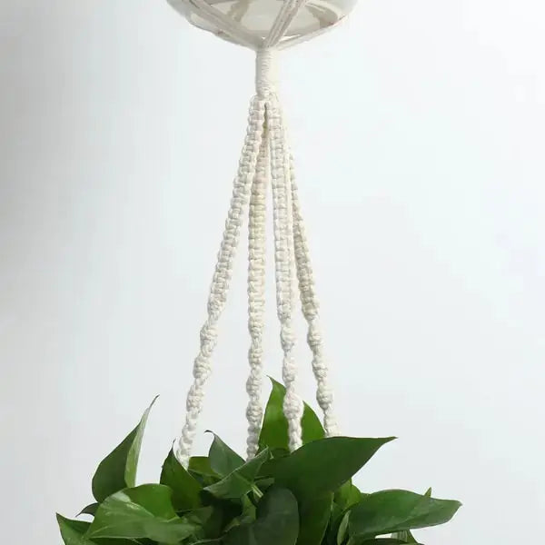 Macrame Plant Hangers GLR SHOPPING