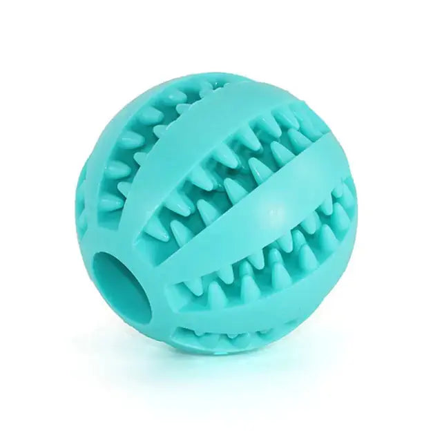 Watermelon Ball Dog Toy GLR SHOPPING