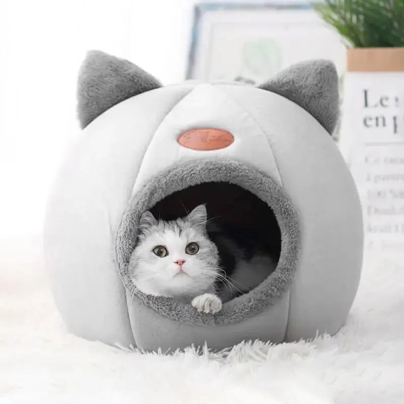 Cat Bed GLR SHOPPING