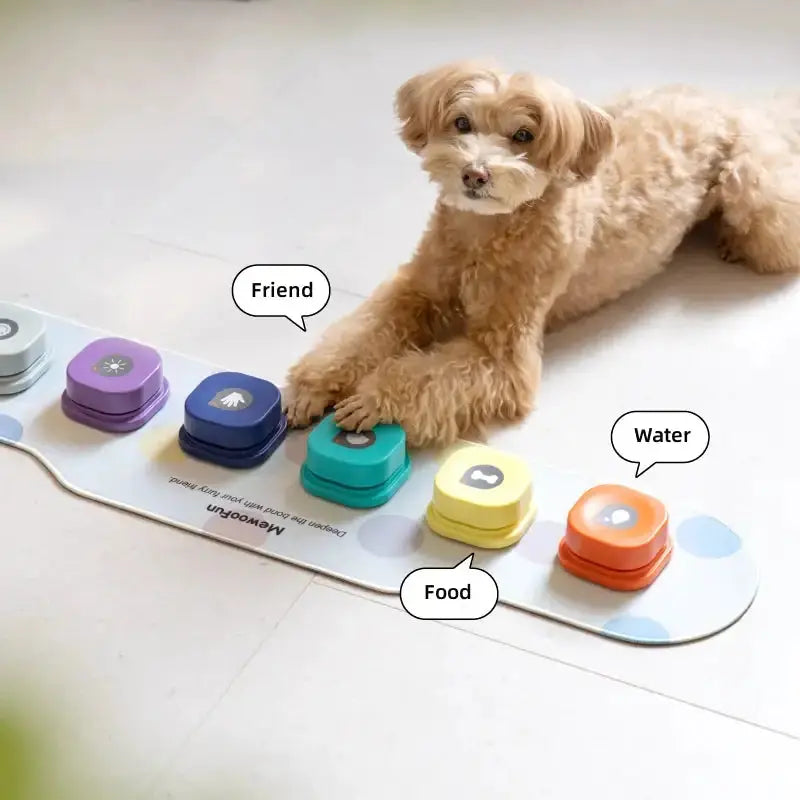 Training Buzzer Recordable Talking Button GLR SHOPPING