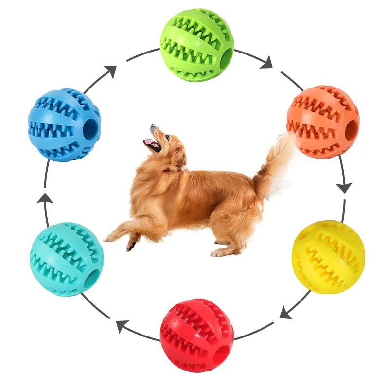 Watermelon Ball Dog Toy GLR SHOPPING