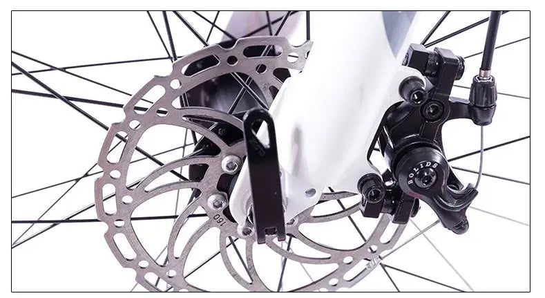 IonTrak SnowRider E-Bike GLR SHOPPING