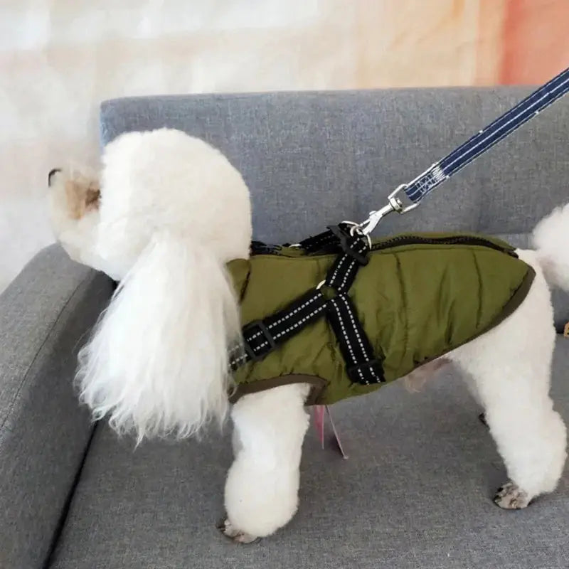 Pet Dog jacket With Harness GLR SHOPPING