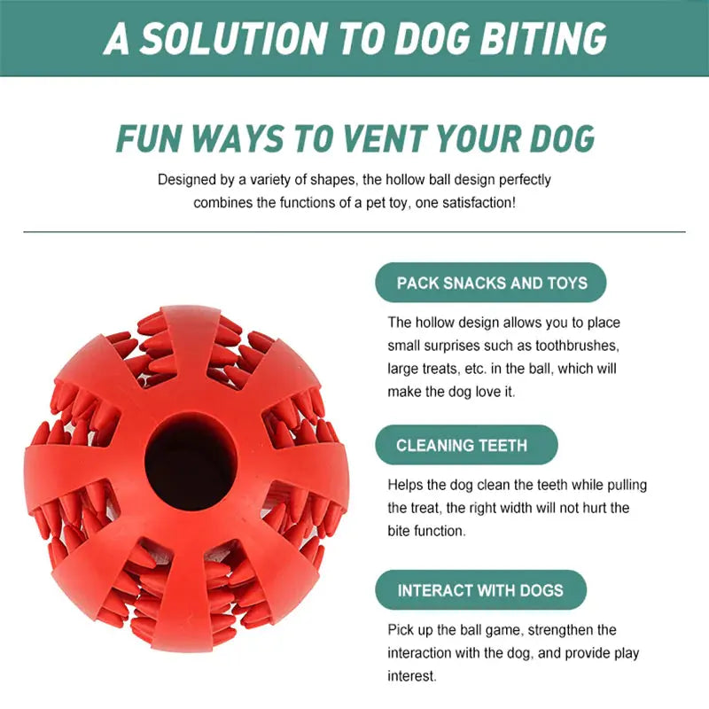 Watermelon Ball Dog Toy GLR SHOPPING