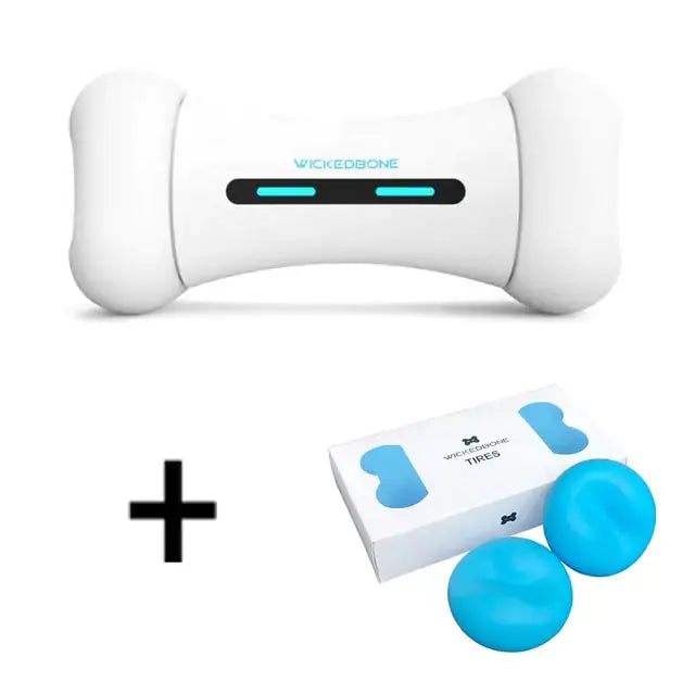 Pet Induction Interactive Toy GLR SHOPPING