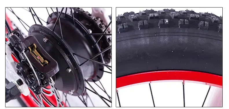 IonTrak SnowRider E-Bike GLR SHOPPING