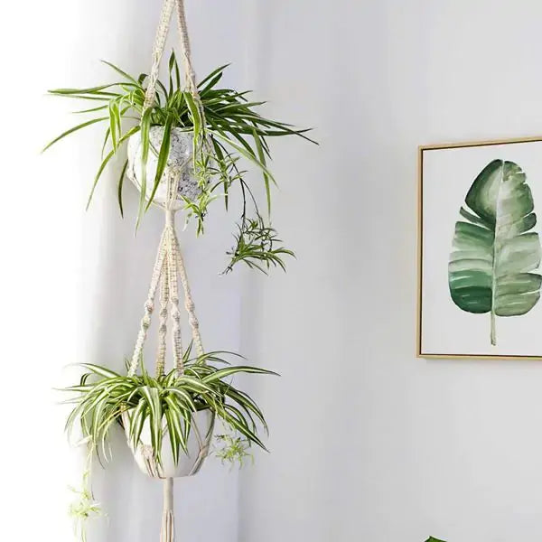 Macrame Plant Hangers GLR SHOPPING