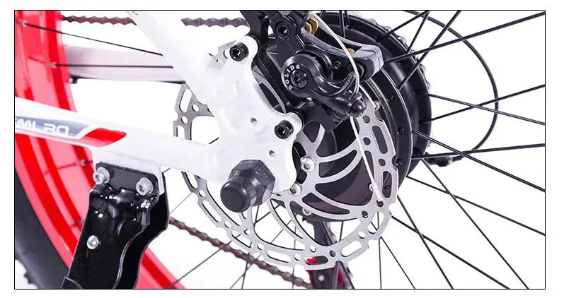 IonTrak SnowRider E-Bike GLR SHOPPING