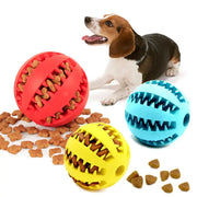 Watermelon Ball Dog Toy GLR SHOPPING