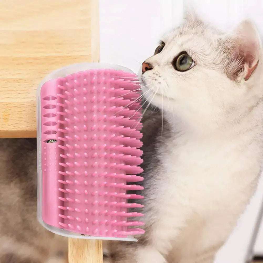 Cat Scratcher Brush Massage GLR SHOPPING