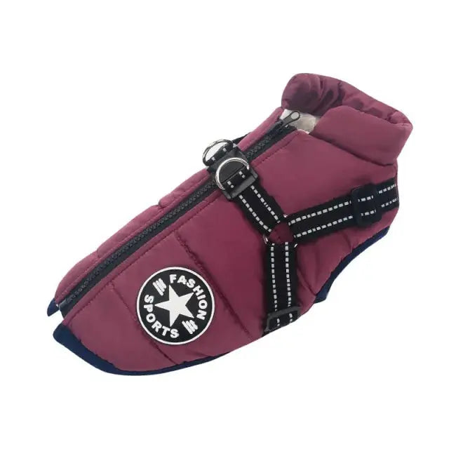Pet Dog jacket With Harness GLR SHOPPING
