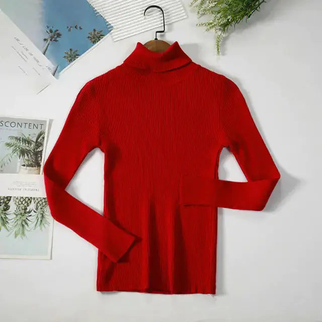 Turtleneck Women Sweaters GLR SHOPPING