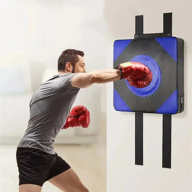 Boxing Wall Focus Pad GLR SHOPPING