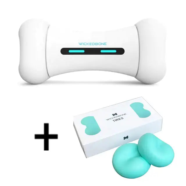 Pet Induction Interactive Toy GLR SHOPPING