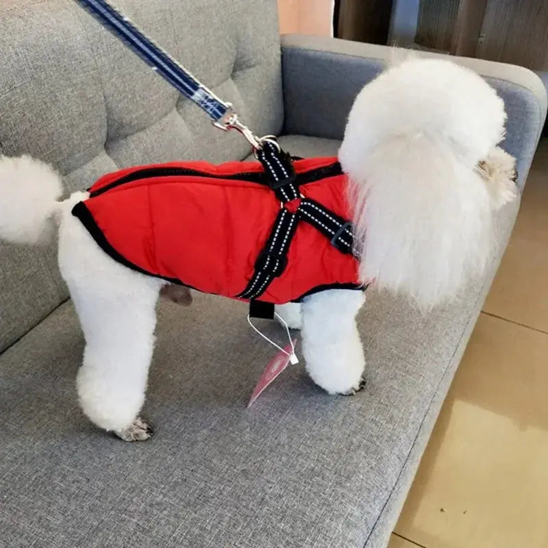 Pet Dog jacket With Harness GLR SHOPPING