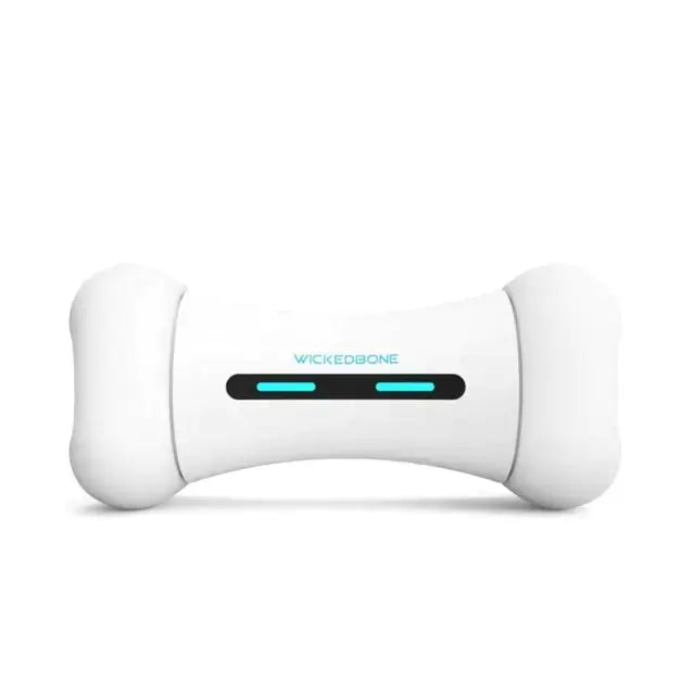 Pet Induction Interactive Toy GLR SHOPPING