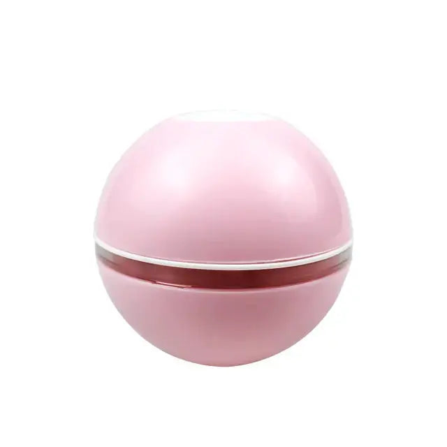 Pet Induction Interactive Toy GLR SHOPPING