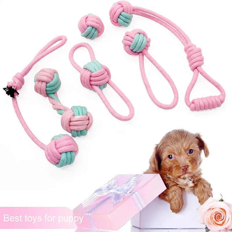 Pet Dog Chew Toys - GLR SHOPPING