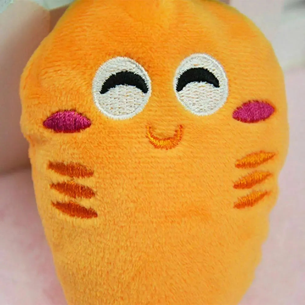 Carrot Pet Toy - GLR SHOPPING
