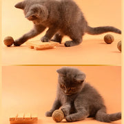 Catnip Toy - GLR SHOPPING