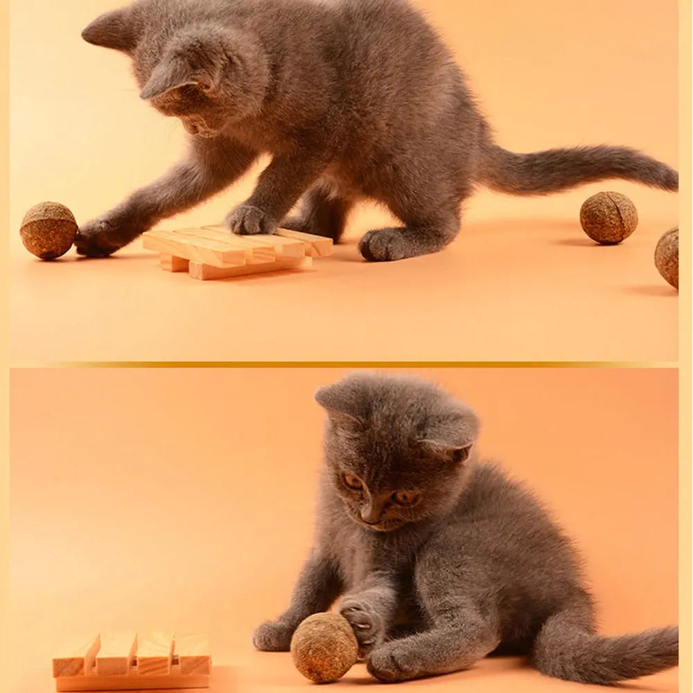 Catnip Toy - GLR SHOPPING