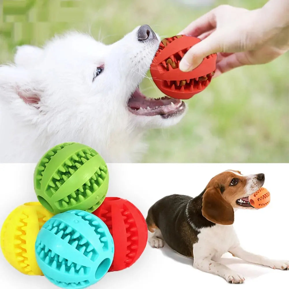 Dog Chew Toy - GLR SHOPPING