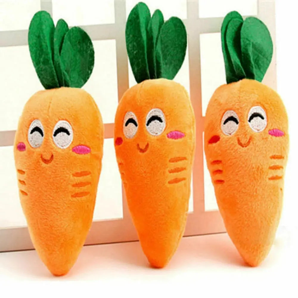 Carrot Pet Toy - GLR SHOPPING