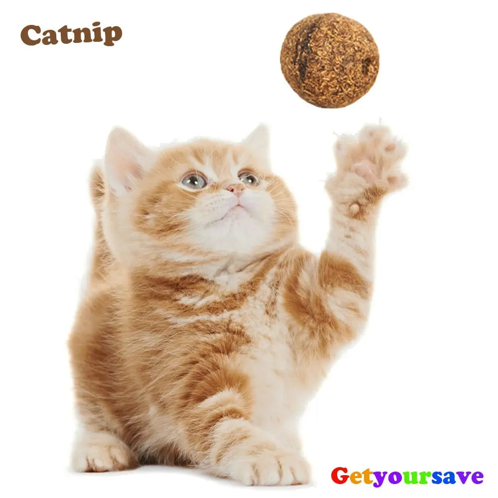 Catnip Toy - GLR SHOPPING