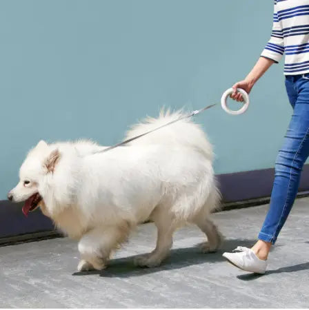 Xiaomi MOESTAR UFO 2.6m Retractable Pet Leash - GLR SHOPPING