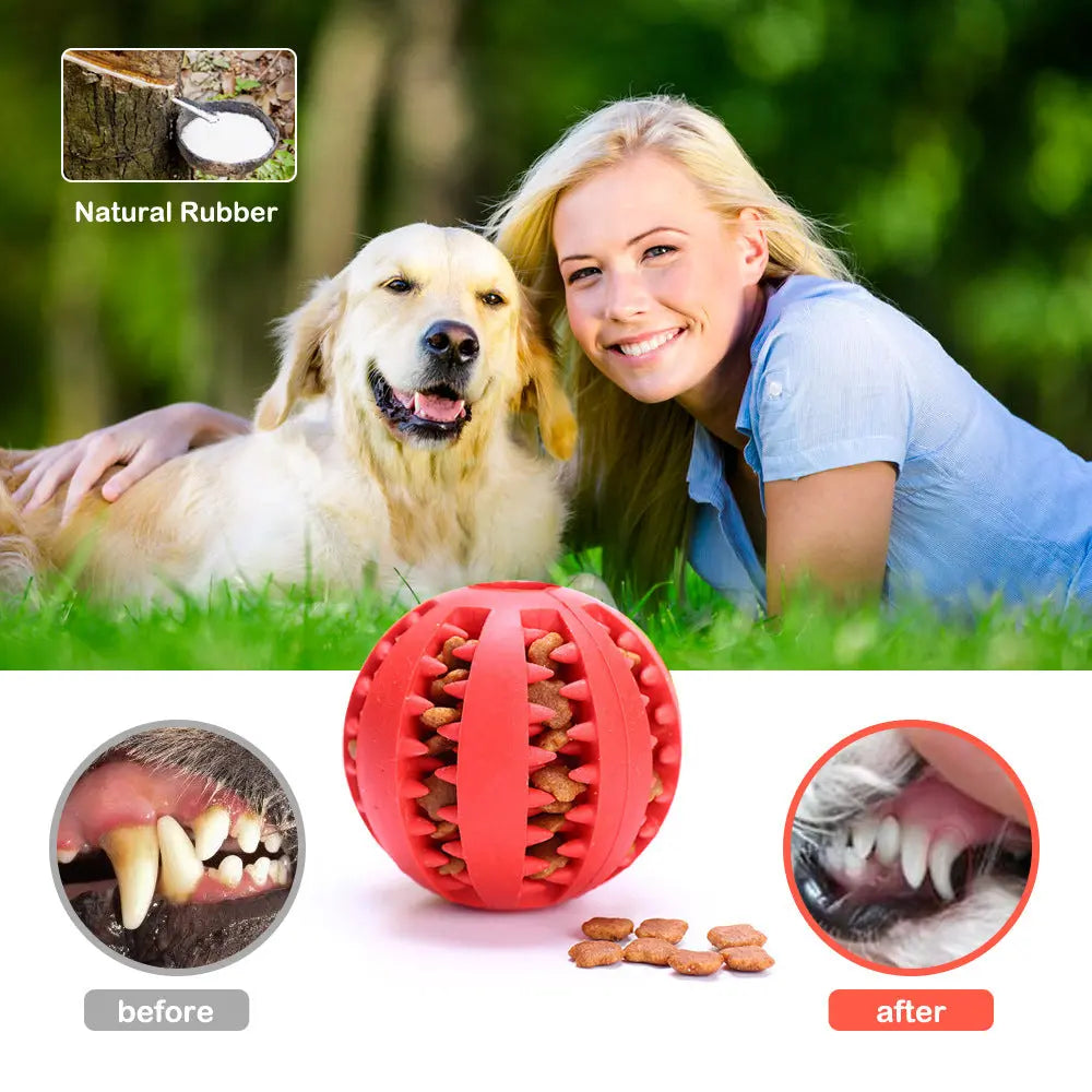 Dog Chew Toy - GLR SHOPPING