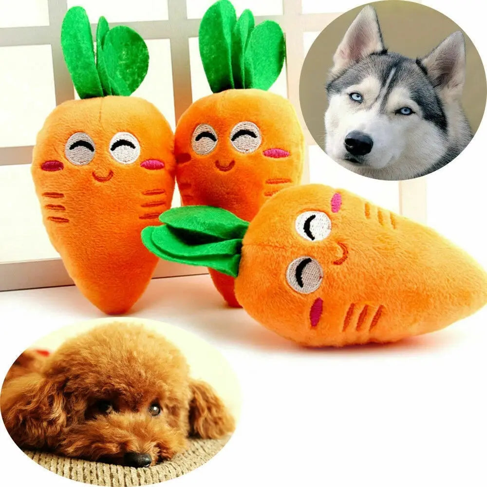 Carrot Pet Toy - GLR SHOPPING