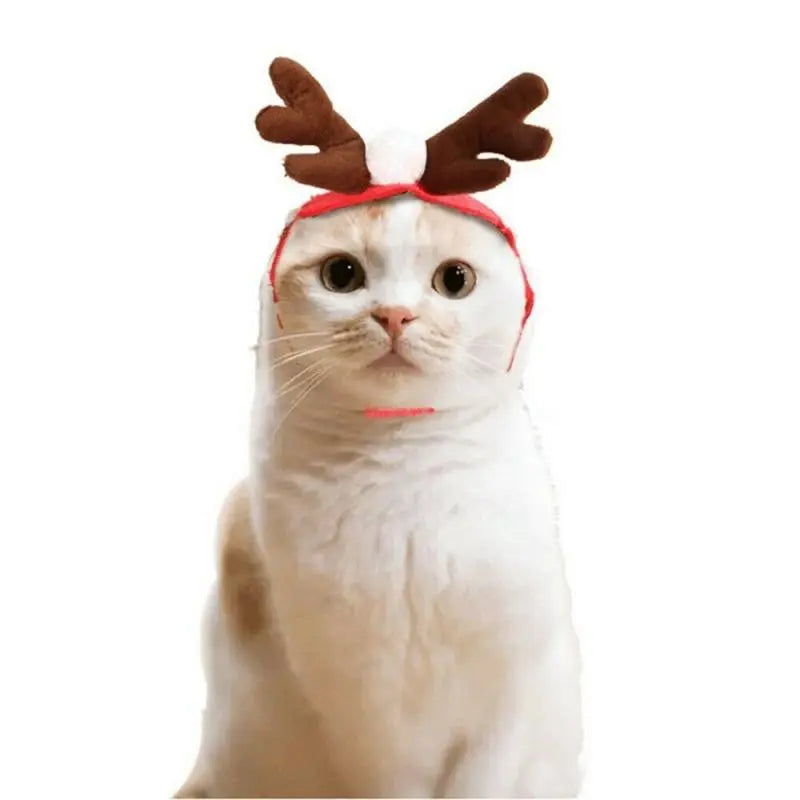Pet Christmas Clothes - GLR SHOPPING