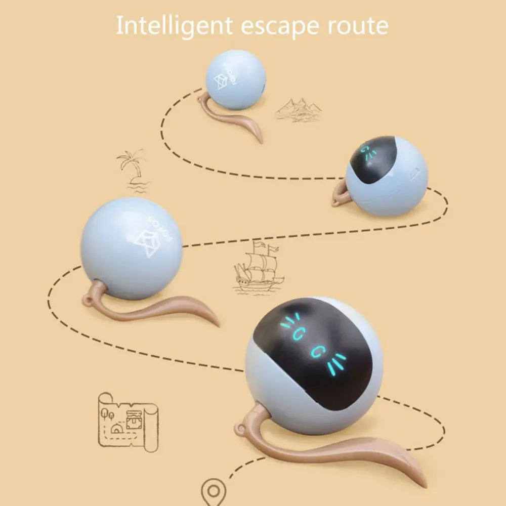 Kitten Electronic Ball - GLR SHOPPING