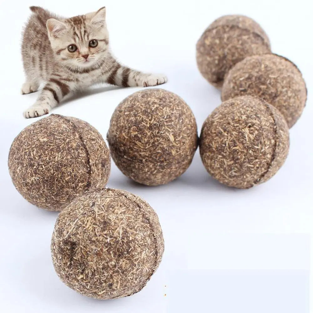 Catnip Toy - GLR SHOPPING