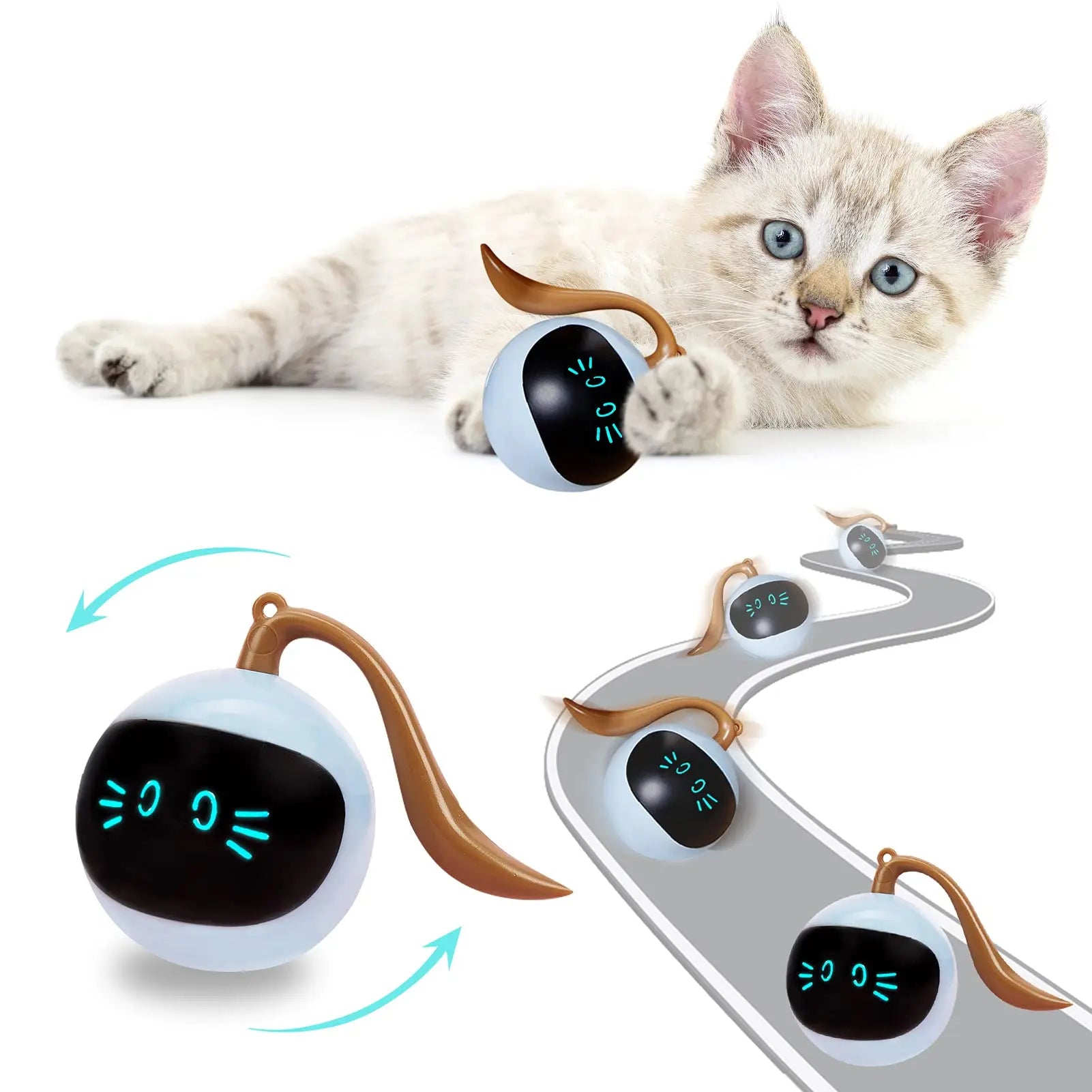 Kitten Electronic Ball - GLR SHOPPING