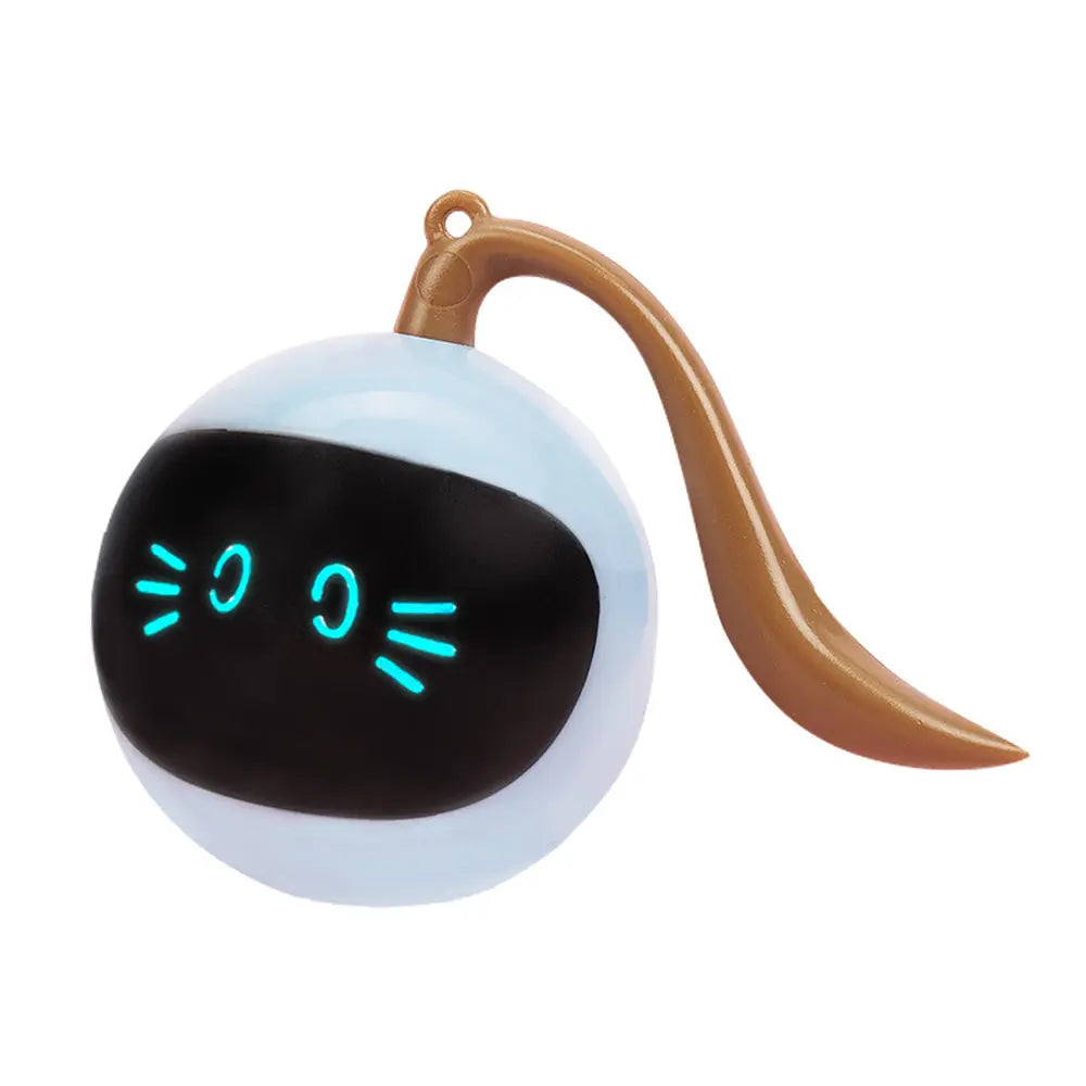 Kitten Electronic Ball - GLR SHOPPING
