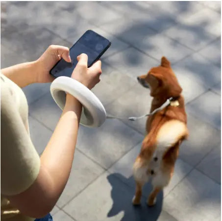 Xiaomi MOESTAR UFO 2.6m Retractable Pet Leash - GLR SHOPPING
