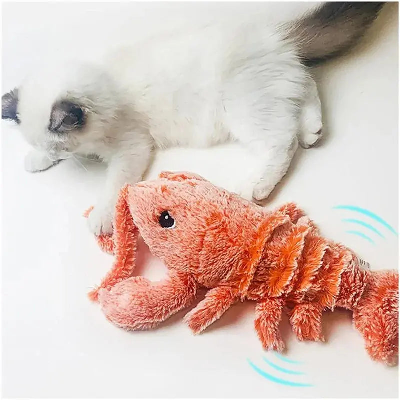 Pet Toy GLR SHOPPING