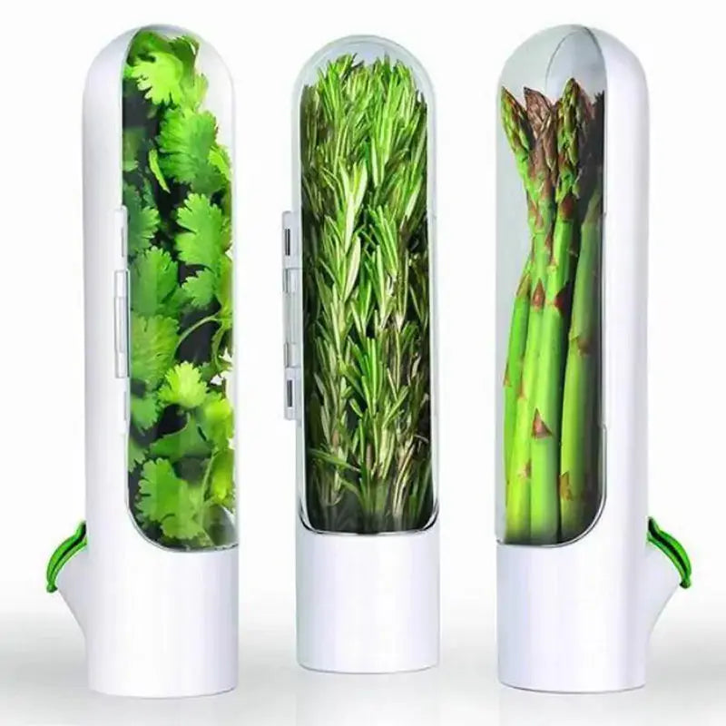 Herb Keeper and Storage GLR SHOPPING