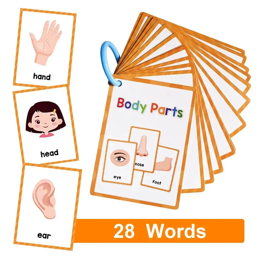 English Words Learning Flashcards GLR SHOPPING