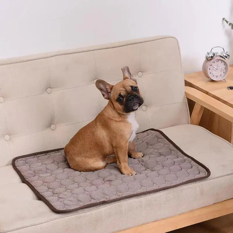 Cooling Summer Dog Mat for Pets GLR SHOPPING